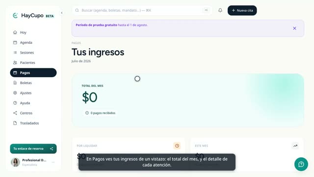 Cápsula: Tus ingresos, de un vistazo